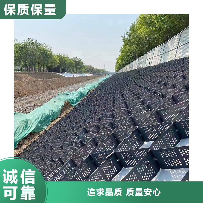 土工格室蜂巢土工格室可接急单