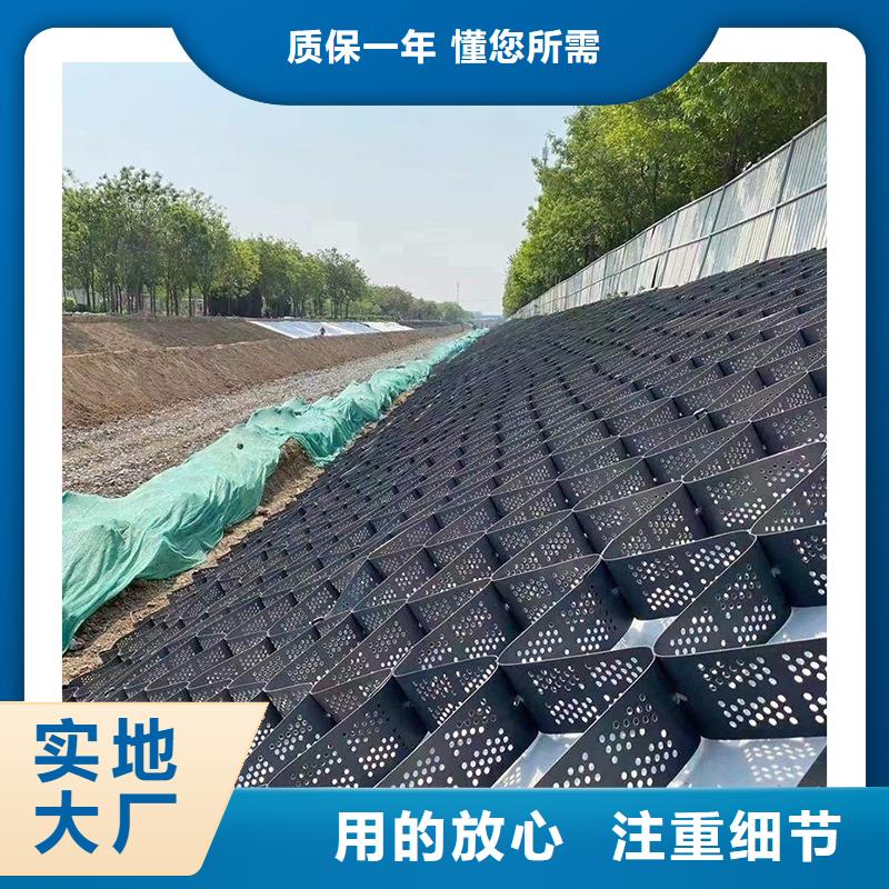 土工格室蜂巢土工格室可接急单