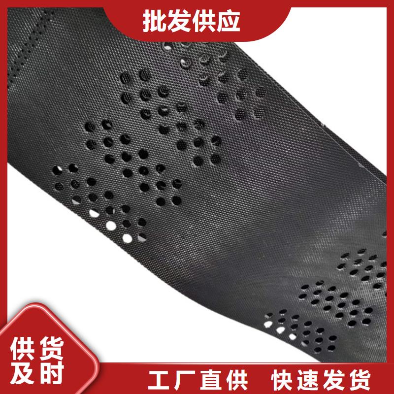 土工格室蜂巢土工格室可接急单