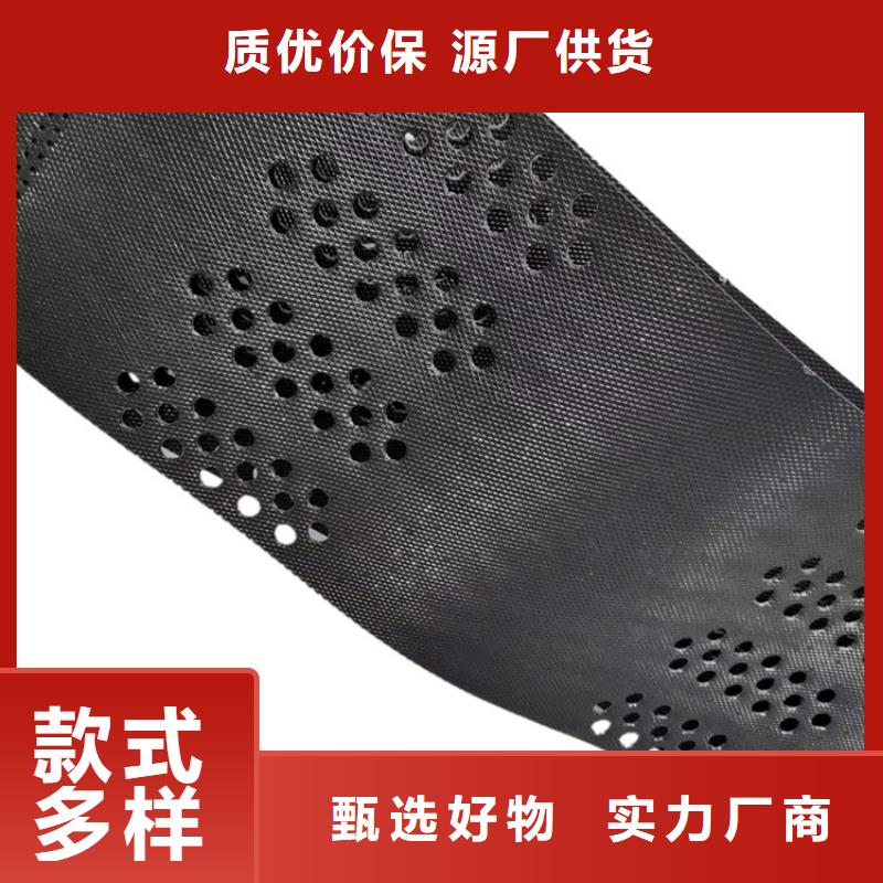 土工格室蜂巢土工格室可接急单