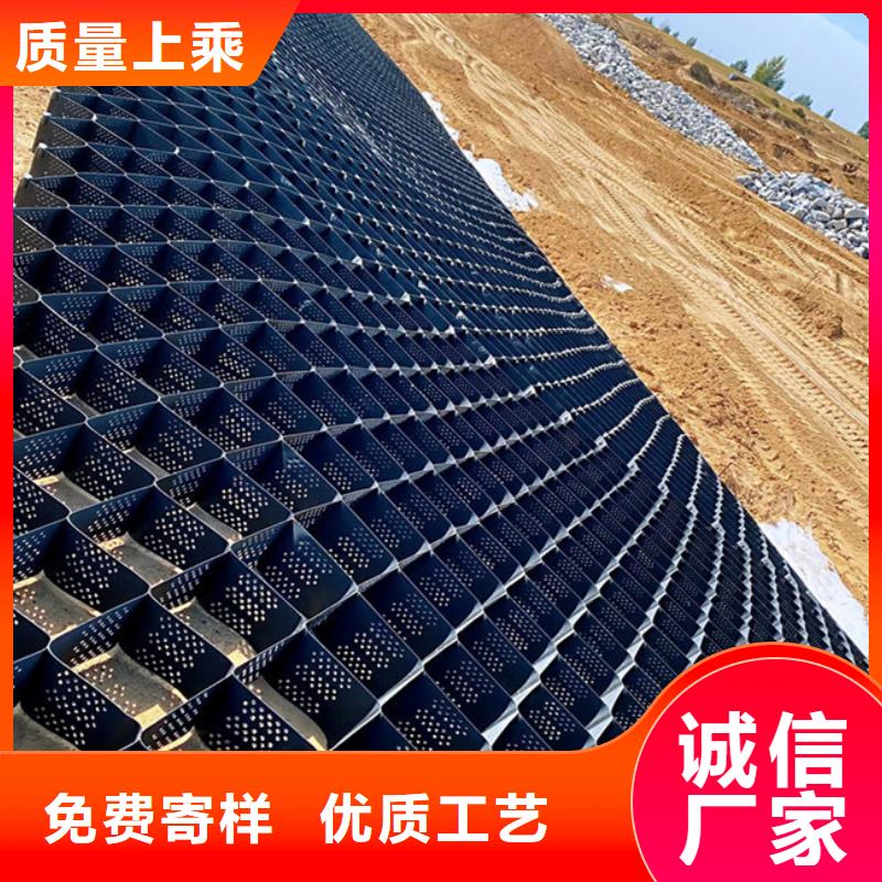 土工格室蜂巢土工格室可接急单