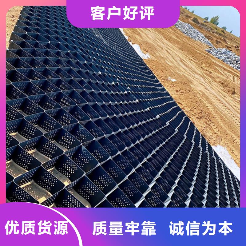 土工格室蜂巢土工格室可接急单