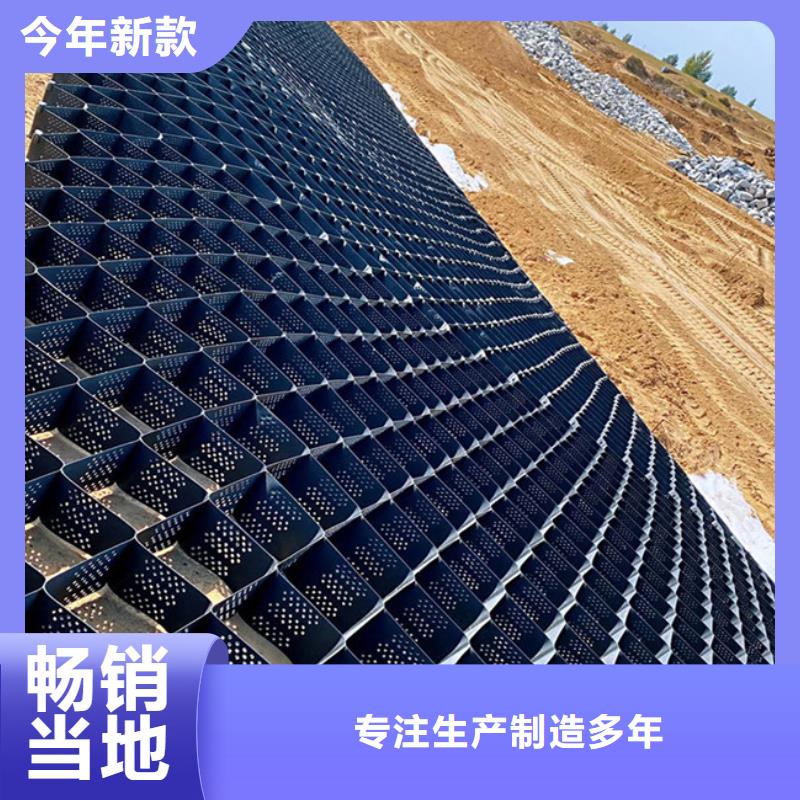 土工格室蜂巢土工格室可接急单