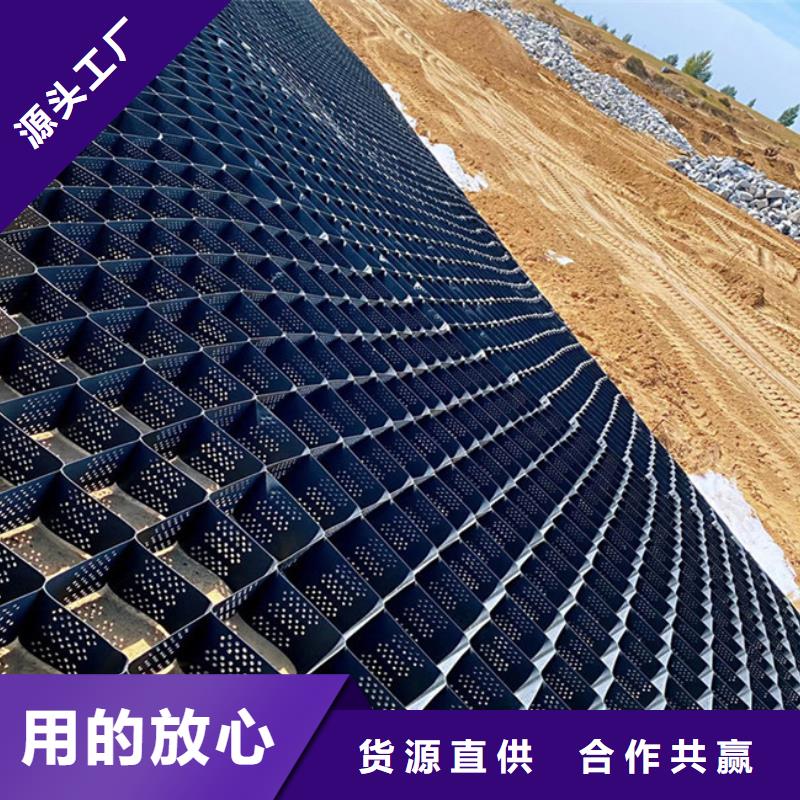 土工格室土工格室规格齐全实力厂家