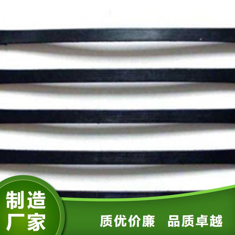 单向塑料格栅三维植被网畅销本地