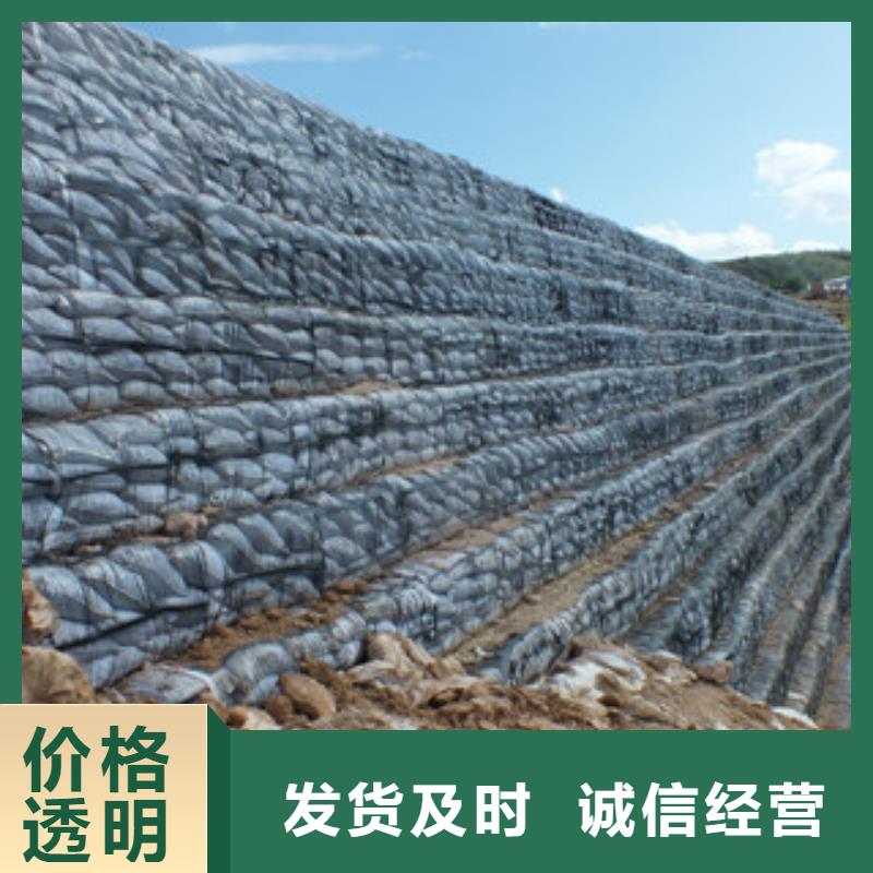 单向塑料格栅三维植被网畅销本地