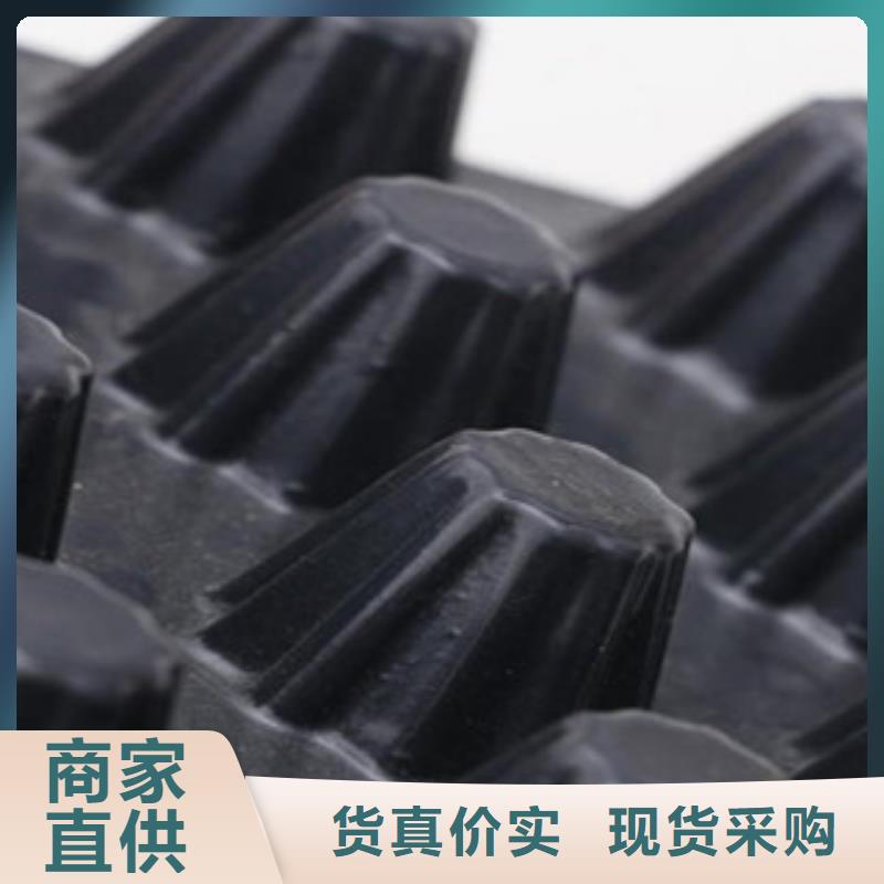塑料排水板,玻纤土工格栅价格有优势