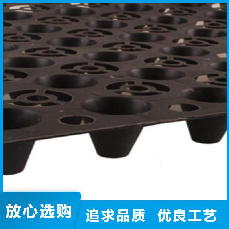 塑料排水板,玻纤土工格栅价格有优势