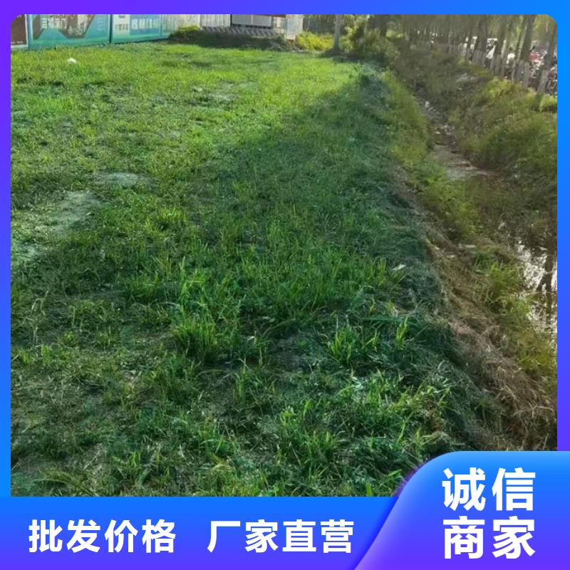 铁路煤炭运输抑尘剂量大