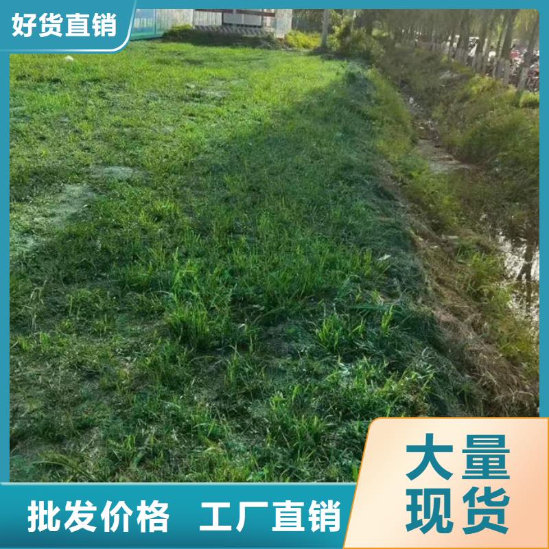 道路保湿抑尘剂诚信商家