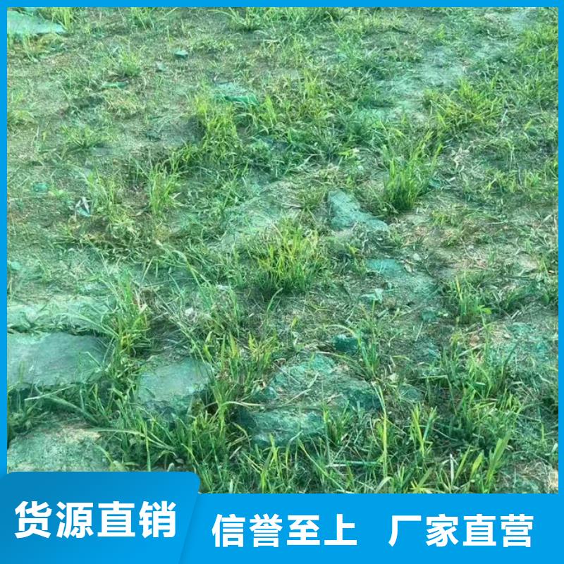 煤炭矿山抑尘剂源头厂家