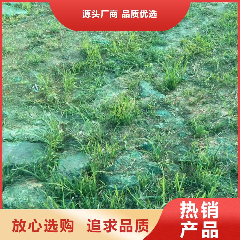 生物酶治理抑尘剂溶液多年实力厂家