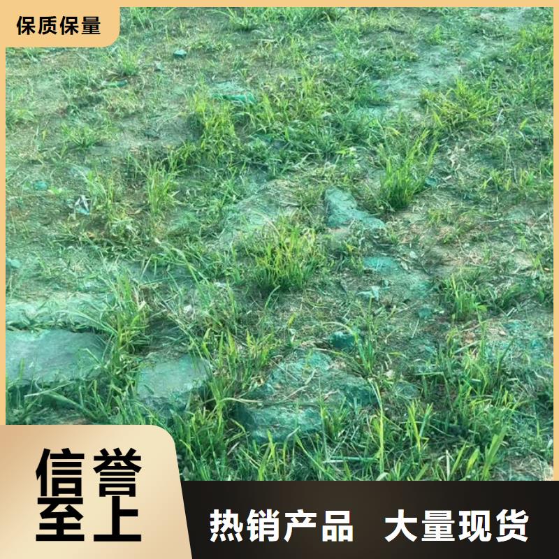 绿色结壳抑尘剂量大