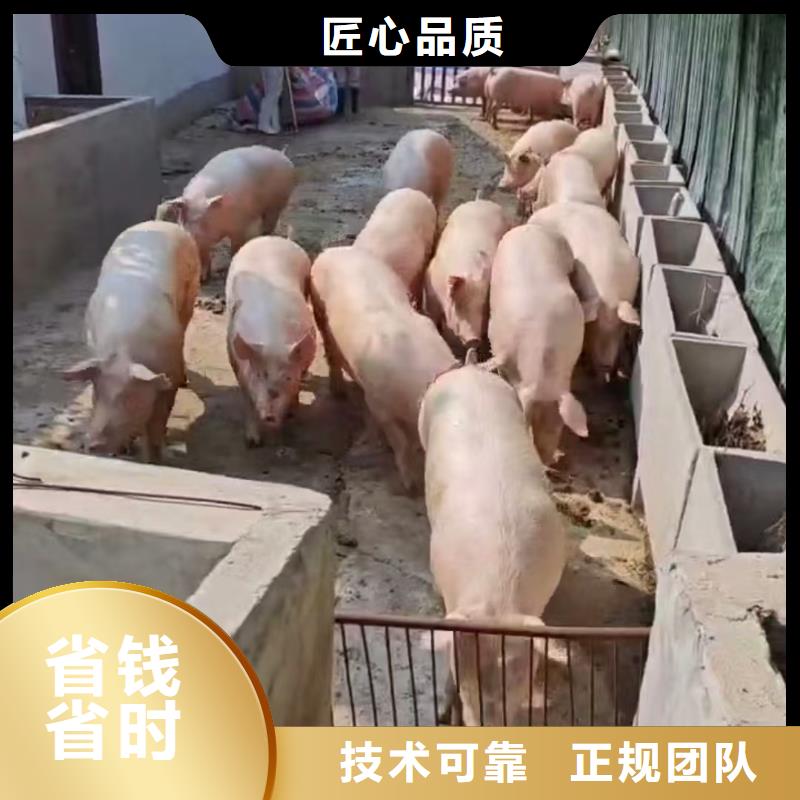 镇江到红河空调车运输-空调车专车专运