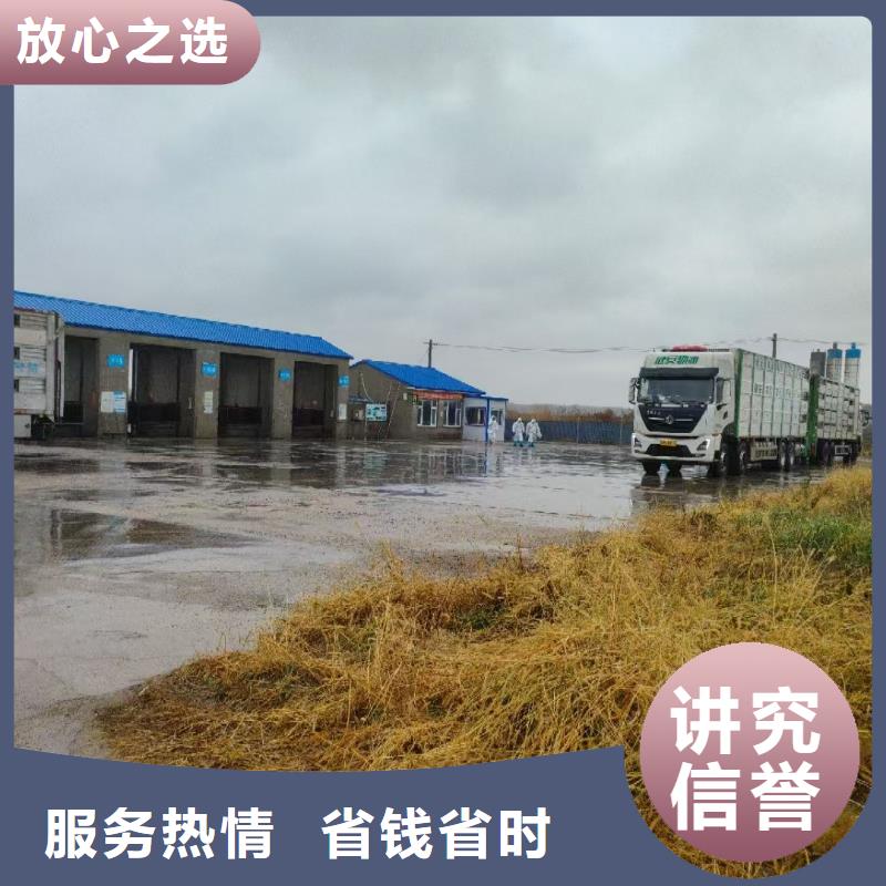 池州到猪牛羊运输空调车良好口碑