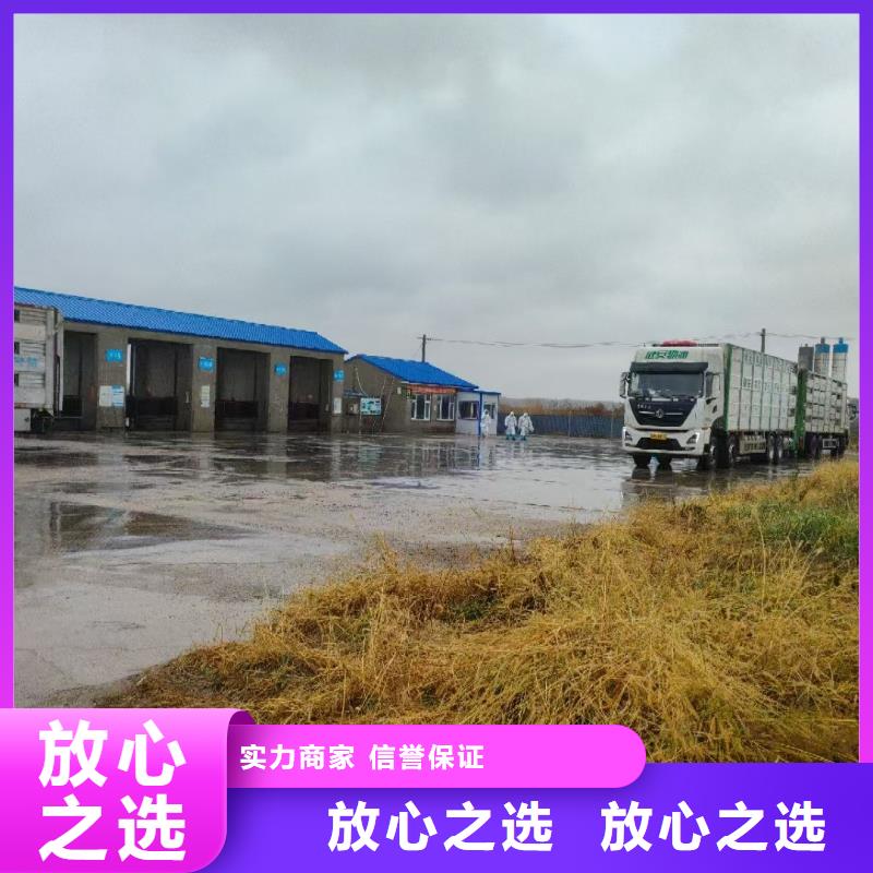 六安至高栏车肥猪运输稳妥可靠