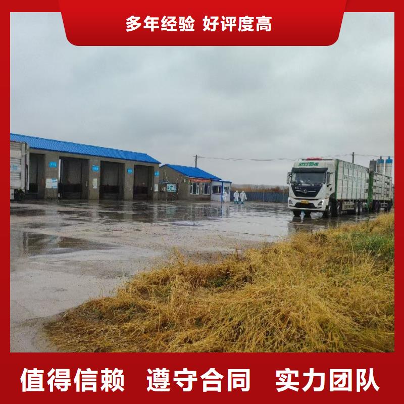 宿迁泗阳到活禽运输设备精良