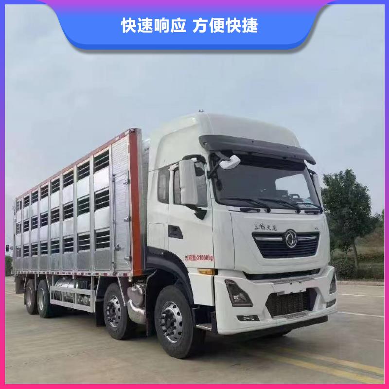 莱芜到肥猪运输恒温车快速响应
