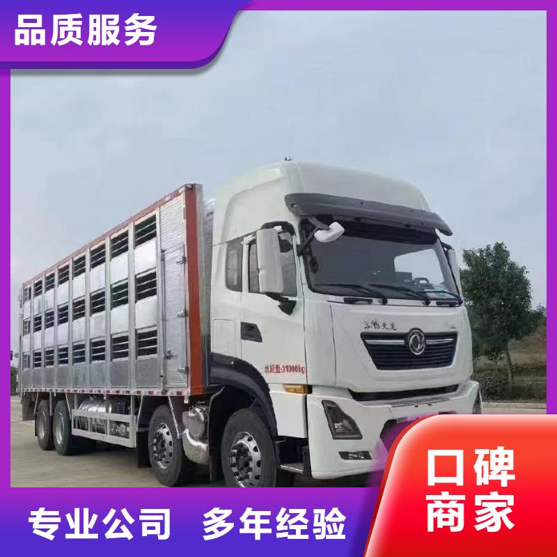 连云港至江门种猪运输恒温车公道