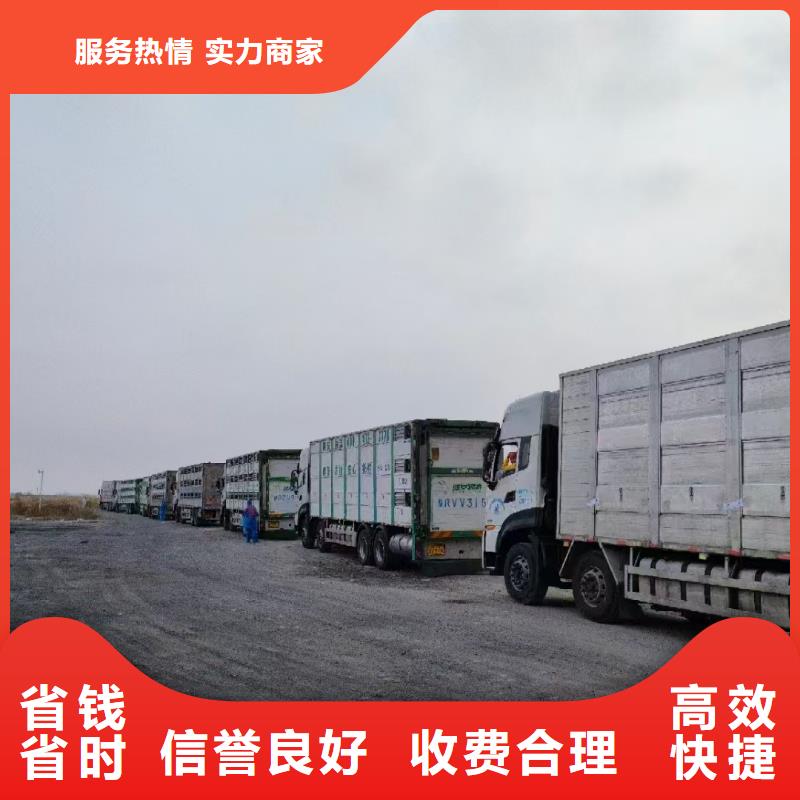 安阳到肥猪运输空调车口碑商家