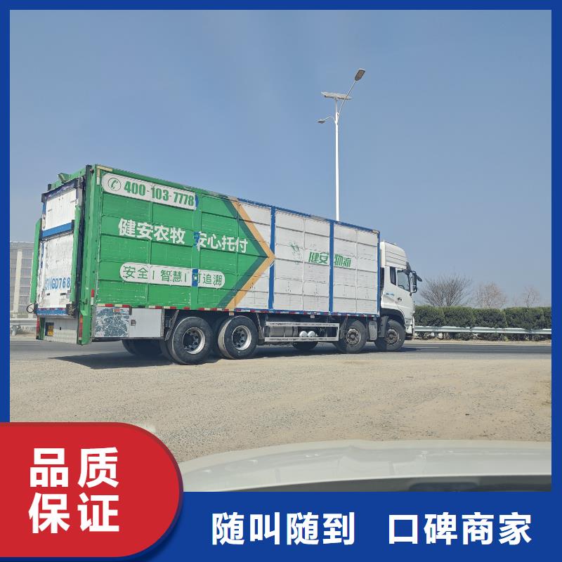莱芜到肥猪运输恒温车快速响应