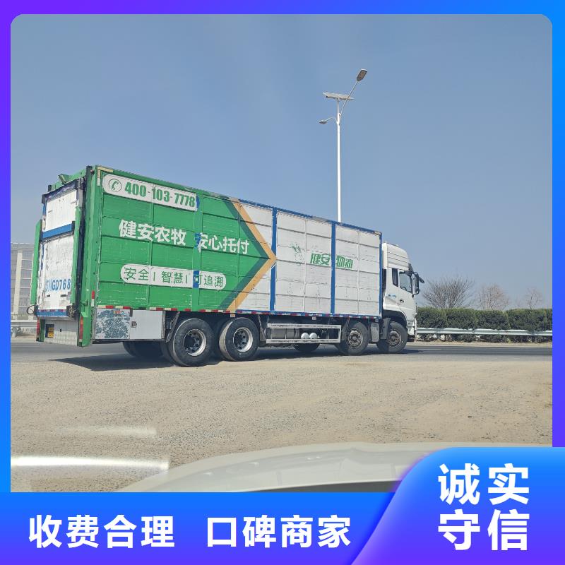 池州到猪牛羊运输空调车良好口碑