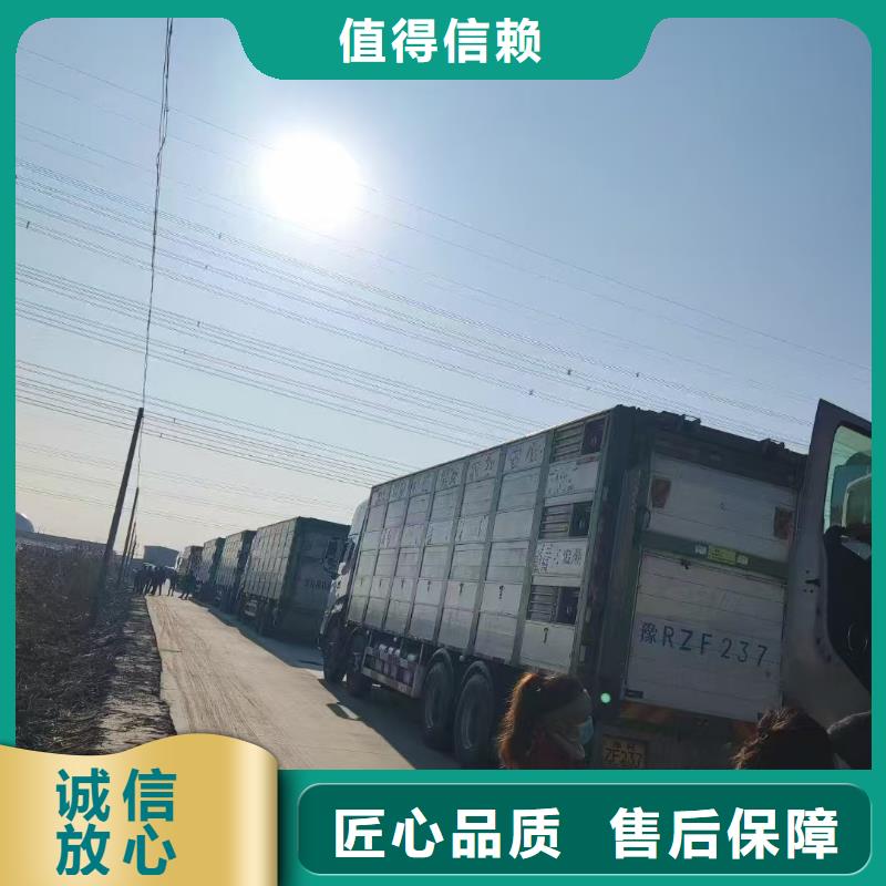 池州到猪牛羊运输空调车良好口碑
