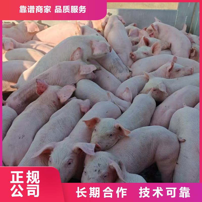 烟台到农牧运输空调车收费合理