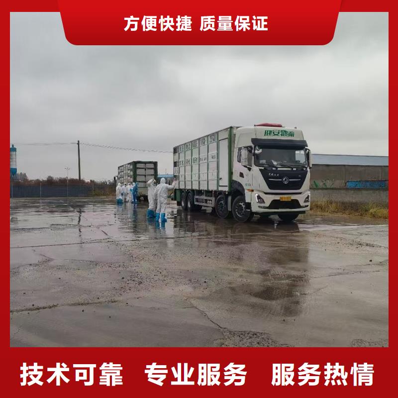 莱芜到肥猪运输恒温车快速响应