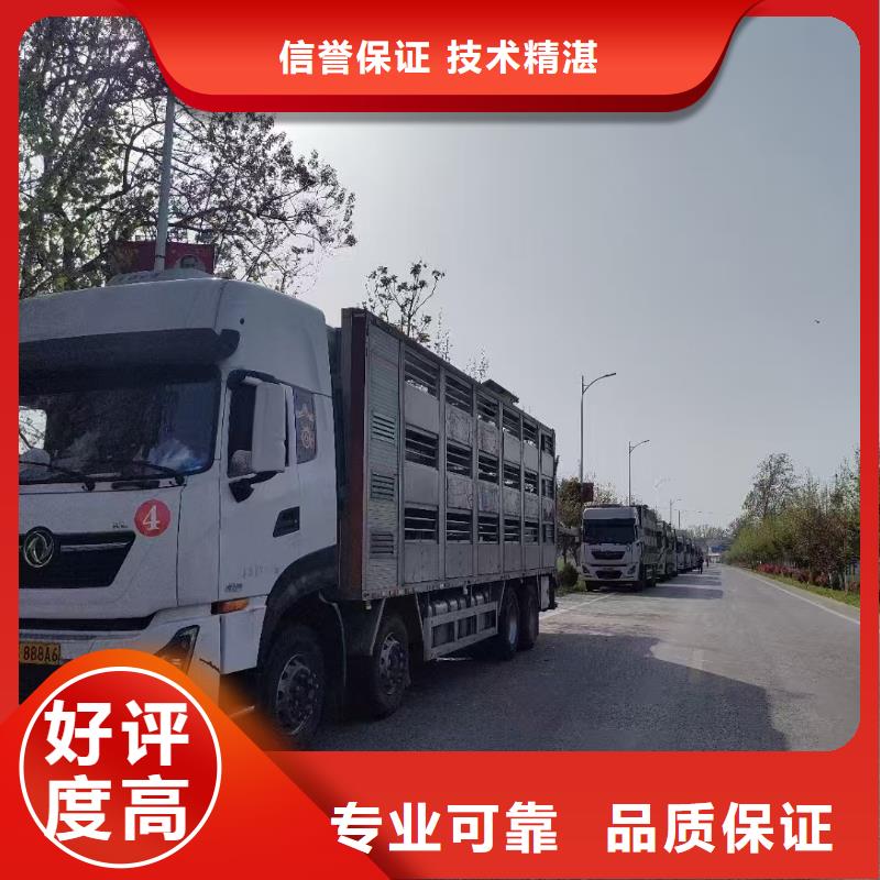 宣城到生猪运输恒温车品质保证