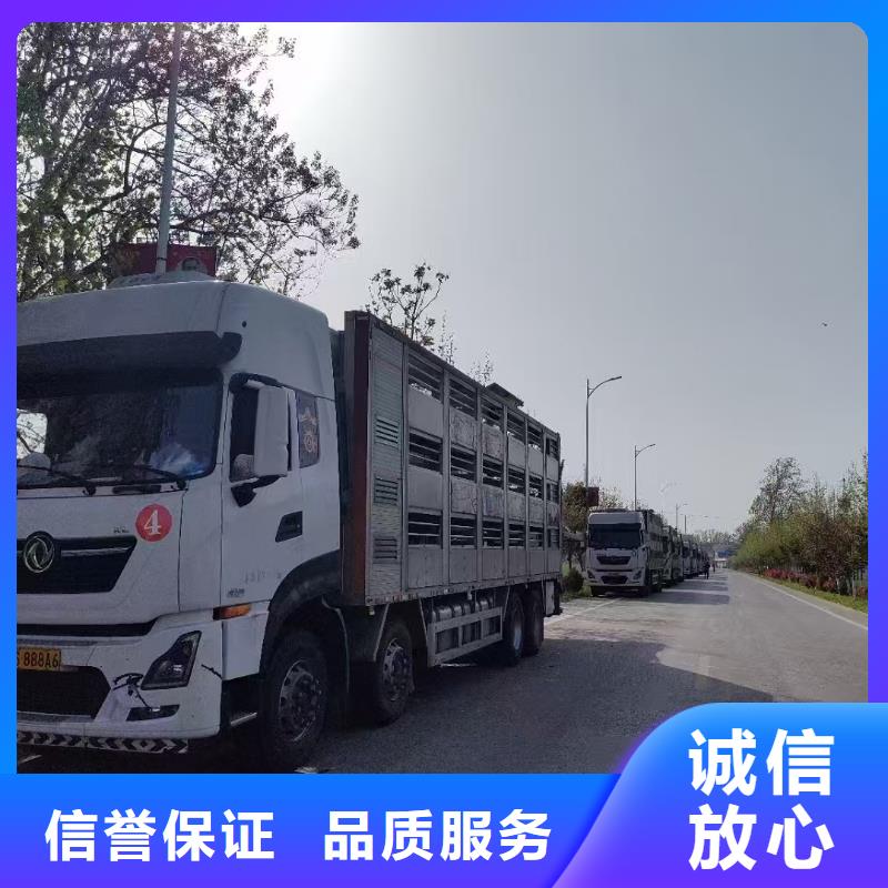 南通到农牧运输恒温车好评度高