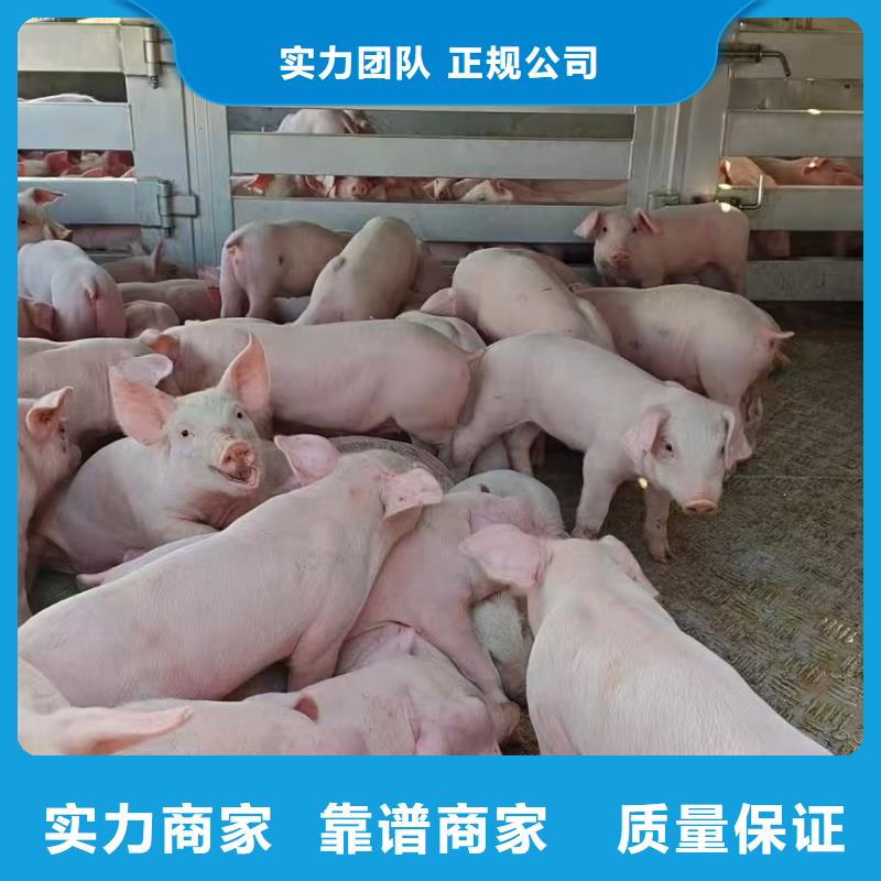 烟台到农牧运输空调车收费合理