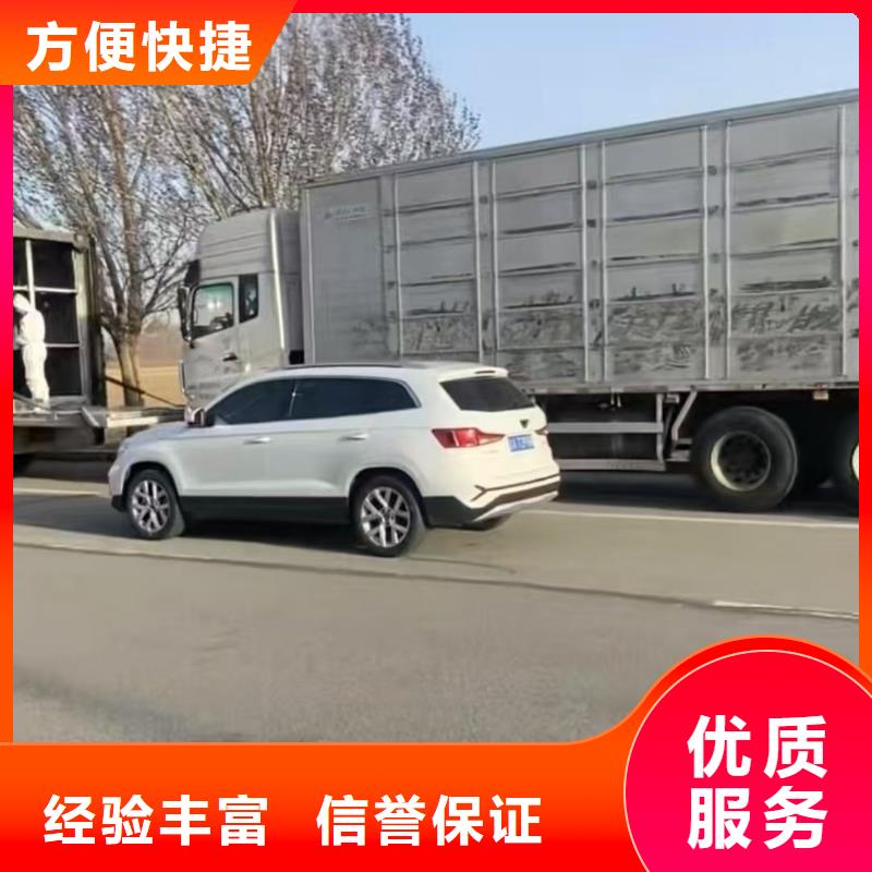 烟台到猪只贸易贴心服务