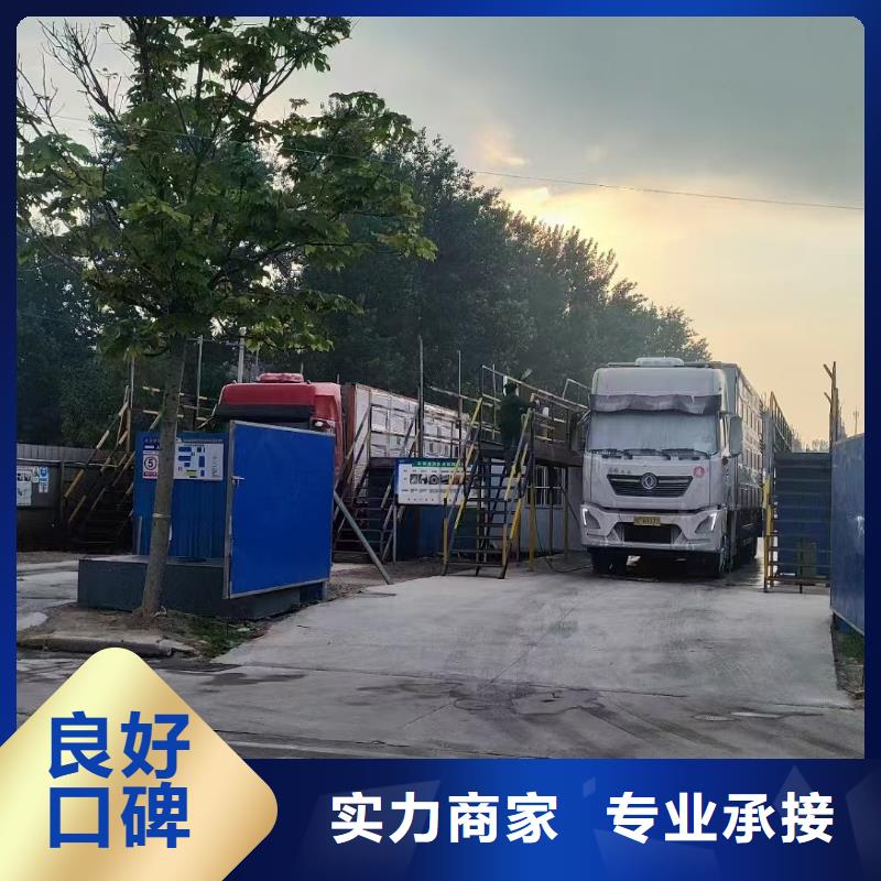 烟台到猪只贸易贴心服务