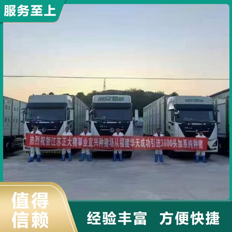 安阳到肥猪运输空调车口碑商家