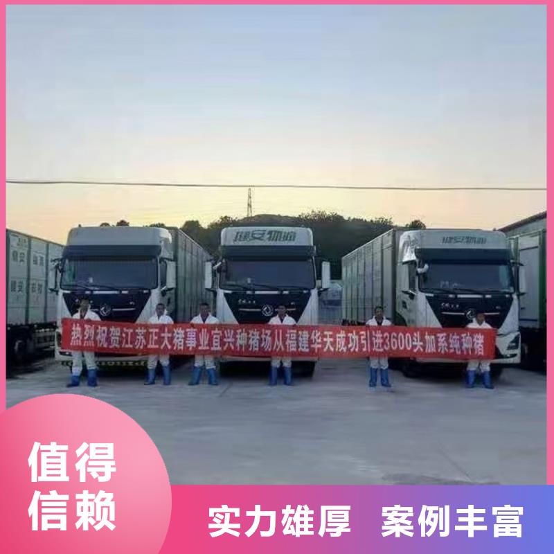 连云港至江门种猪运输恒温车公道