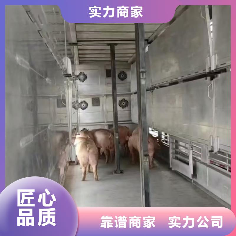 池州到猪牛羊运输空调车良好口碑