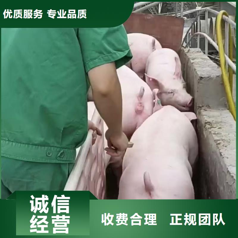 宿迁泗阳到空调车运输实力雄厚