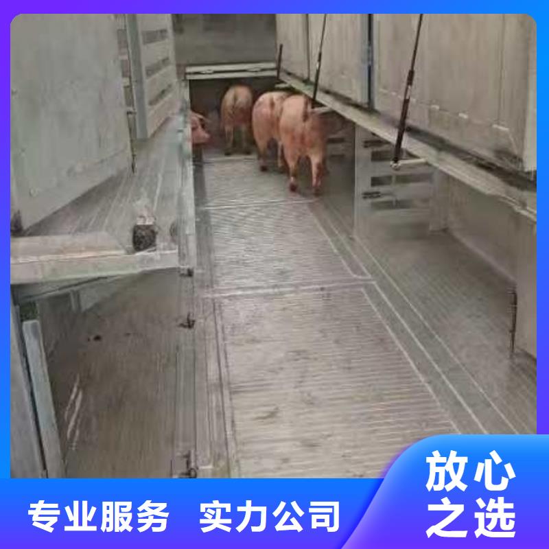 池州到猪牛羊运输空调车良好口碑