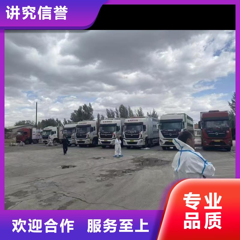 烟台到农牧运输空调车收费合理