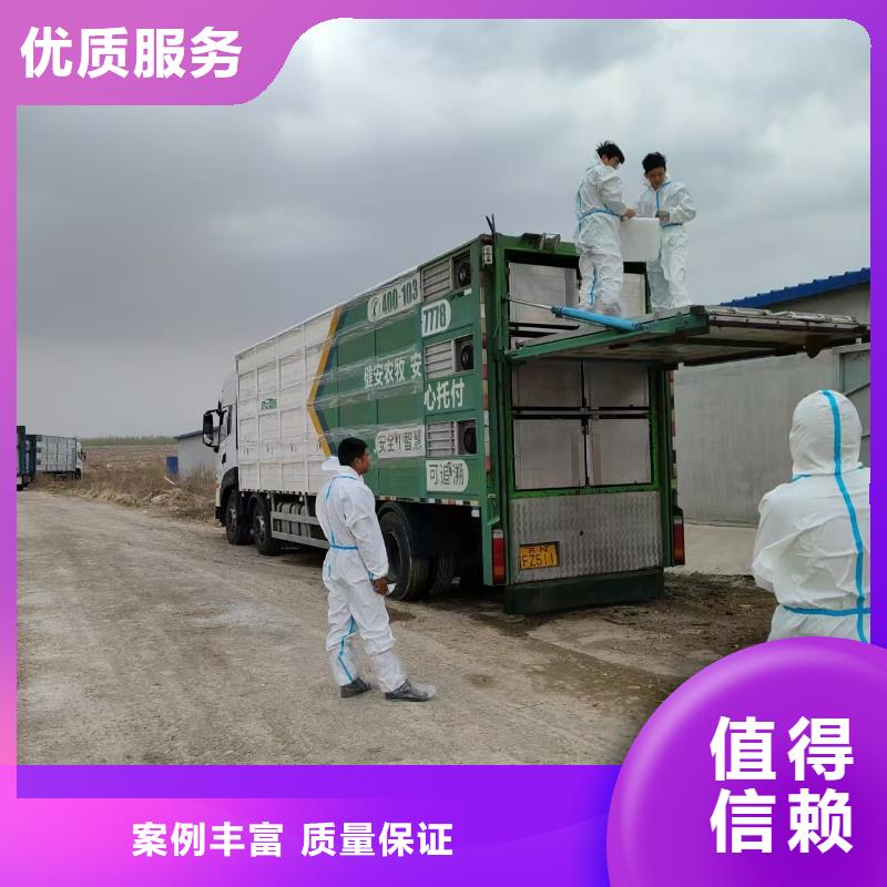 莱芜到肥猪运输恒温车快速响应