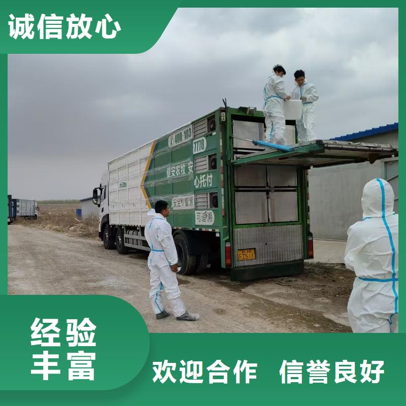许昌到羊运输专用车管理规范