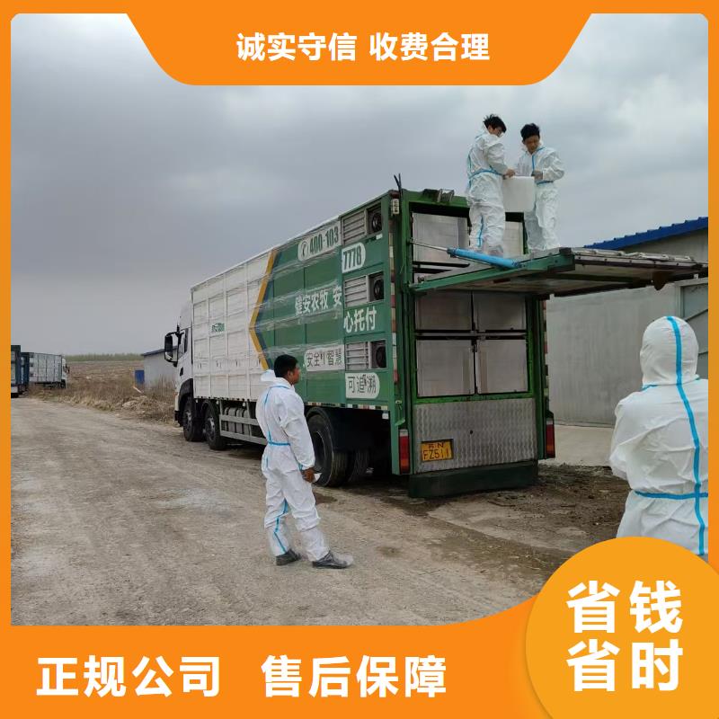安阳到肥猪运输空调车口碑商家