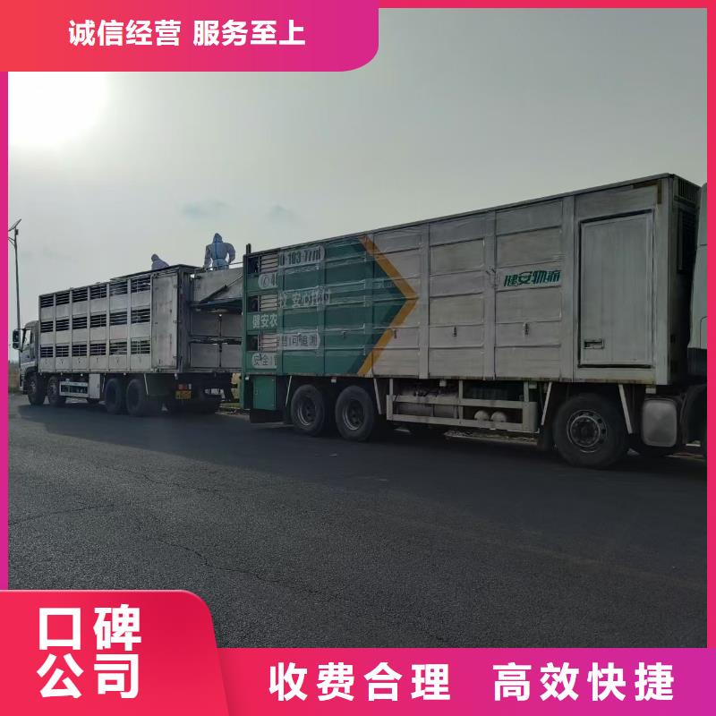 池州到猪牛羊运输空调车良好口碑