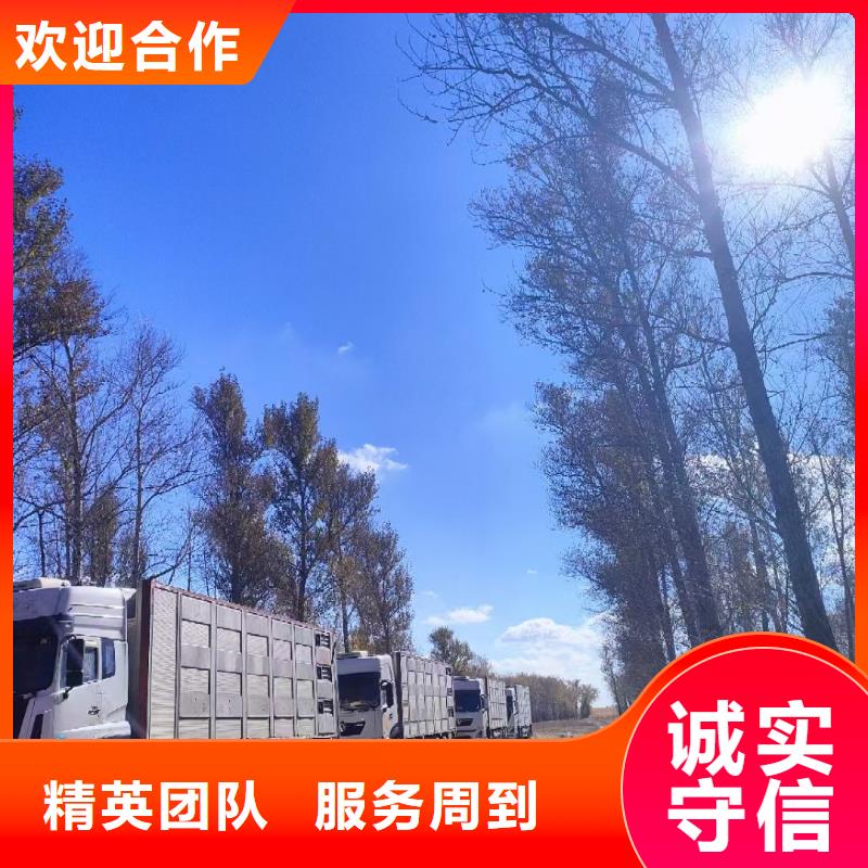 安阳到肥猪运输空调车口碑商家