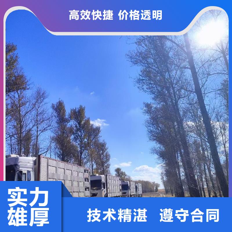 许昌到羊运输专用车管理规范