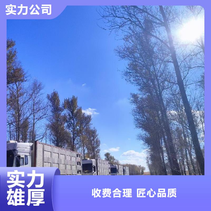 宿迁泗洪到猪只贸易运力强大