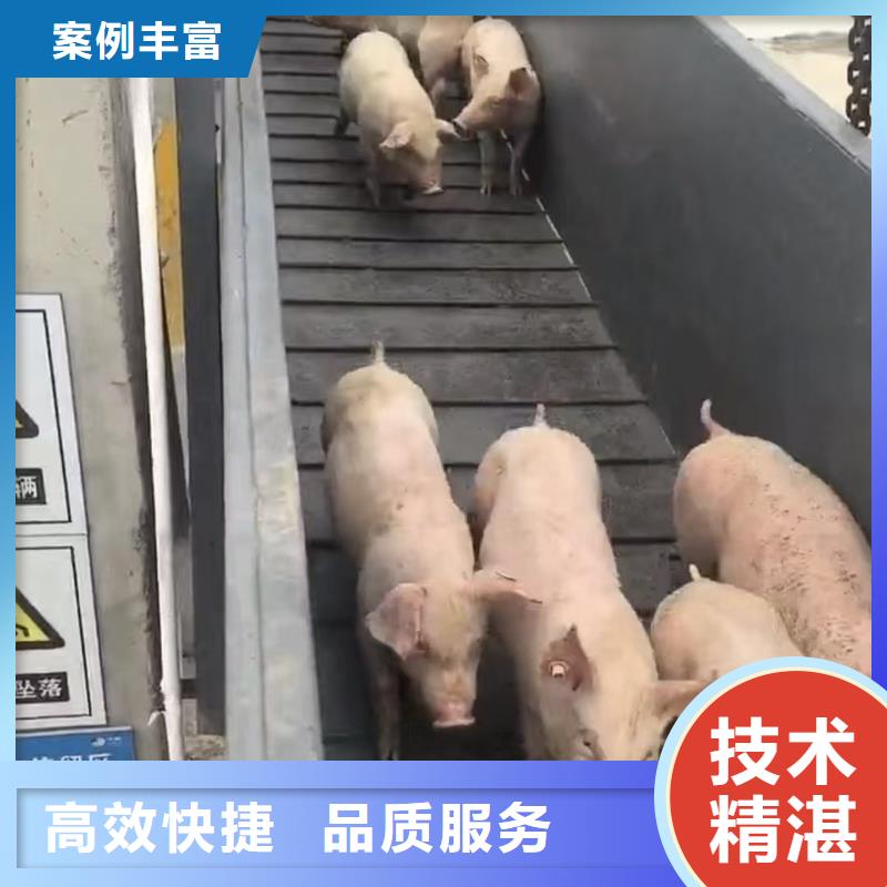 宿迁到种猪运输全程呵护