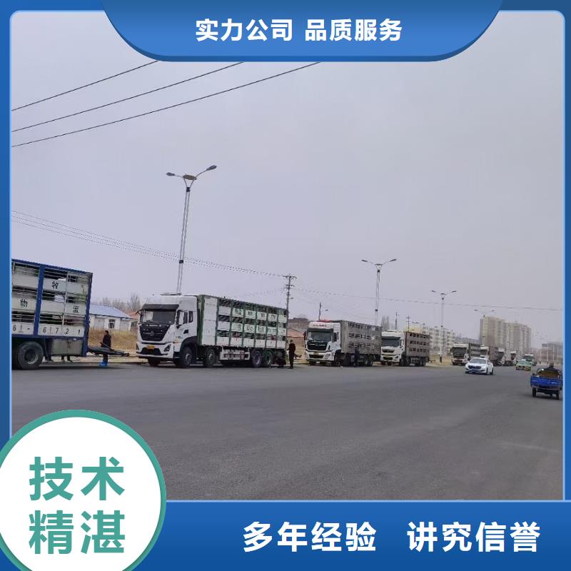 安阳到肥猪运输空调车口碑商家