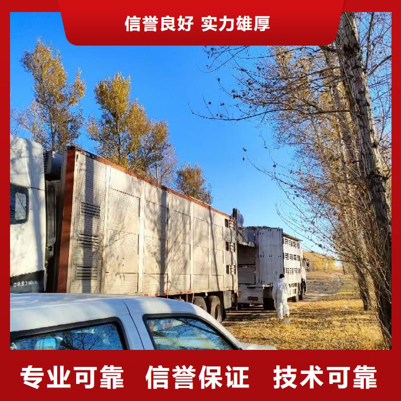 宿迁到种猪运输全程呵护